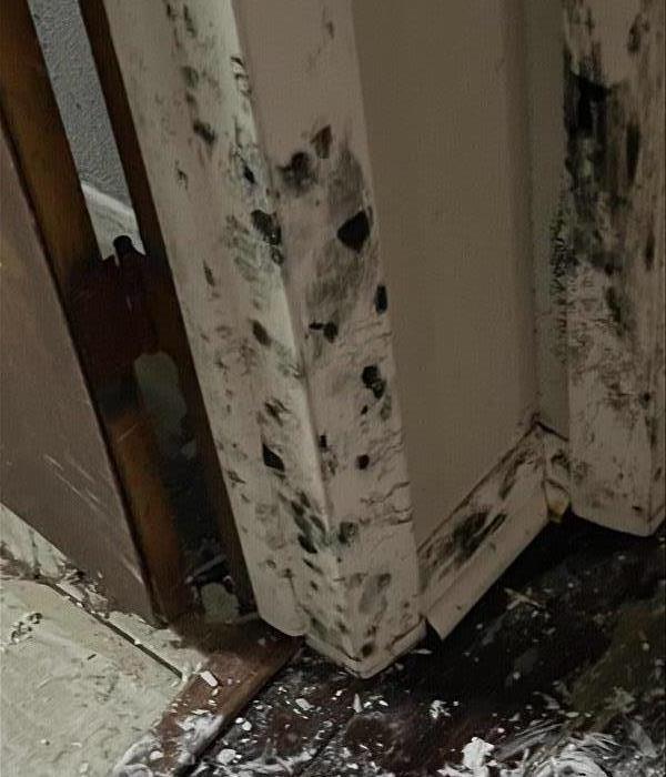 Mold infestation in a doorway.